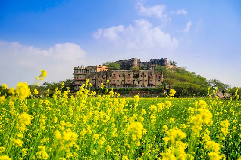 Hill Fort-Kesroli, Alwar, wedding venue